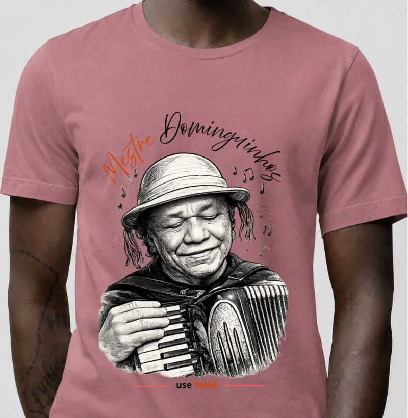 Mestre Dominguinhos - Imagem 3