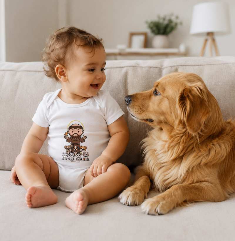 São Francisco com cachorros e gatos - Imagem 2