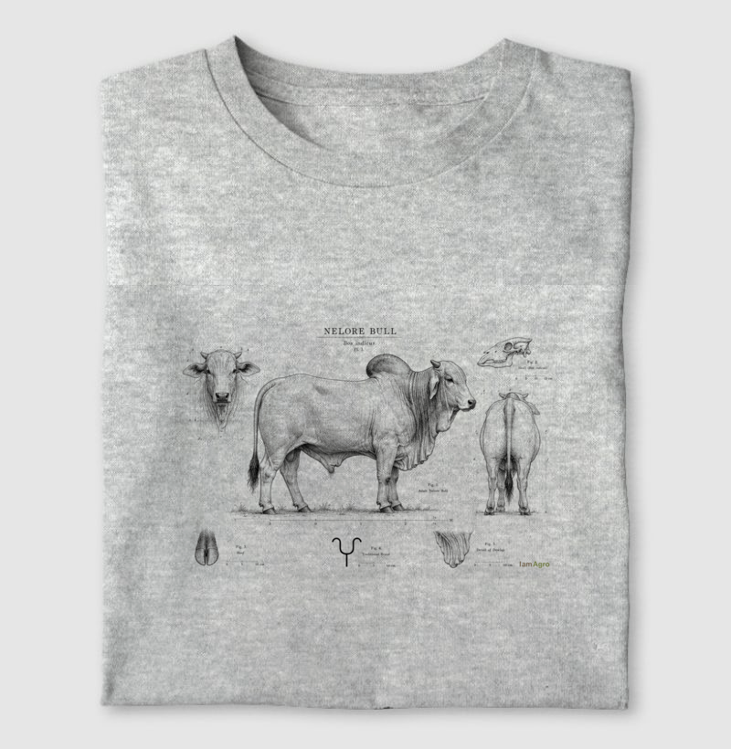 Nelore Bull Anatomia | I Am Agro - Imagem 4