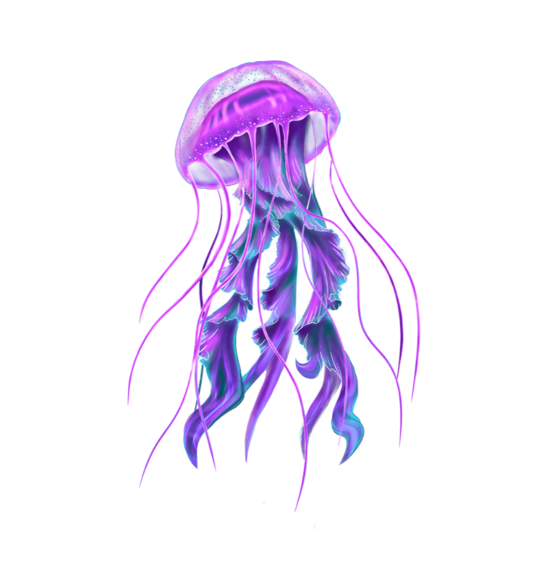 Jellyfish Pocket - Imagem 2