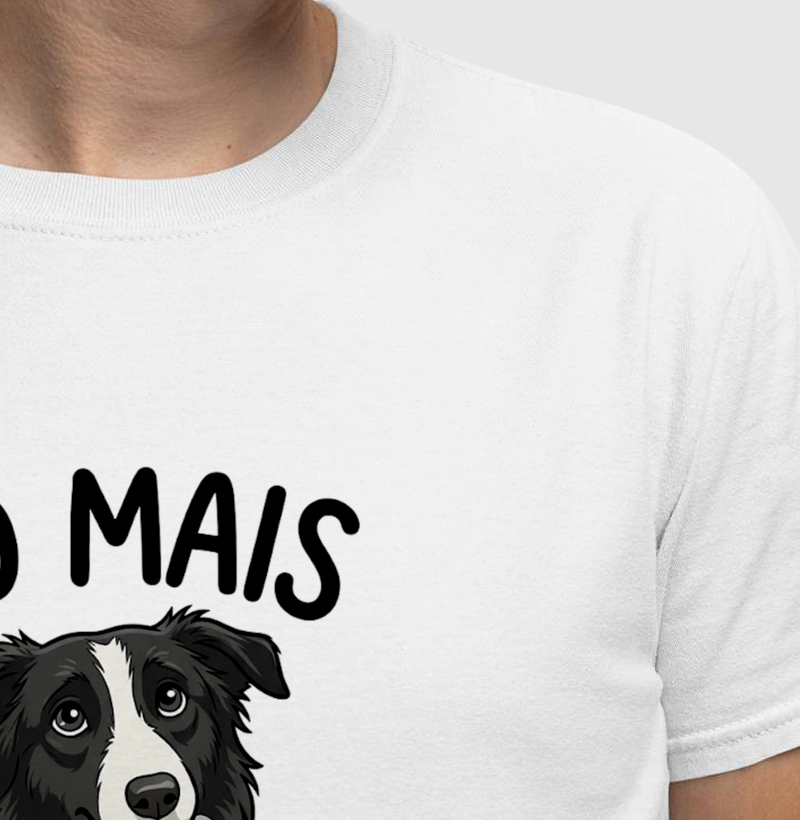 BORDER COLLIE PETISCO - Imagem 4