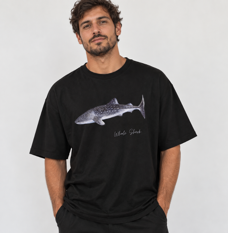 Whale Shark - Imagem 3