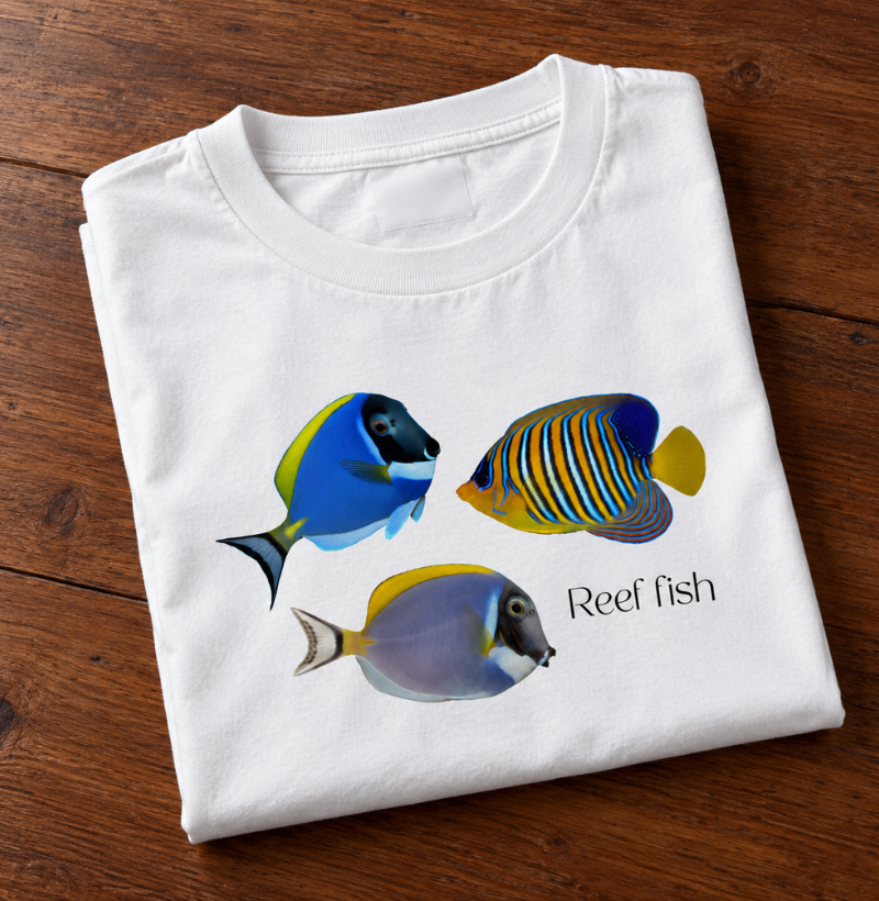 Reef Fish - Imagem 4