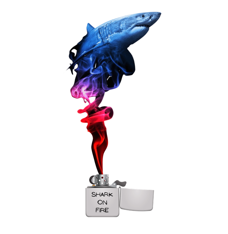 Shark on Fire - Imagem 2