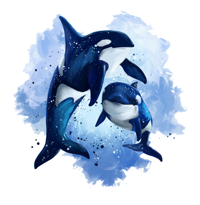 Orca - Imagem 2