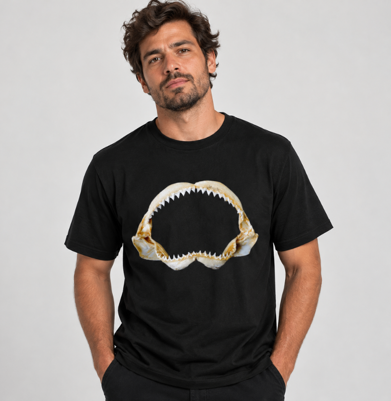 Jaws - Imagem 2