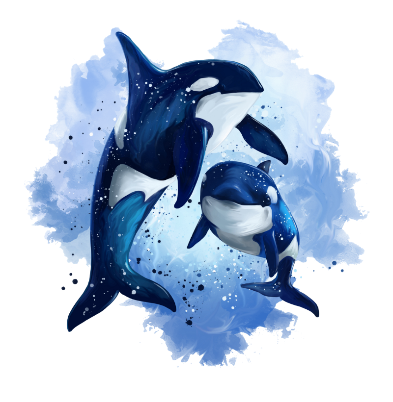 Orca - Imagem 2