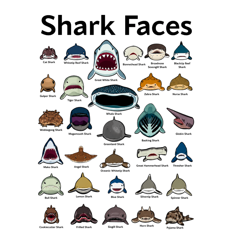 Shark Faces - Imagem 2