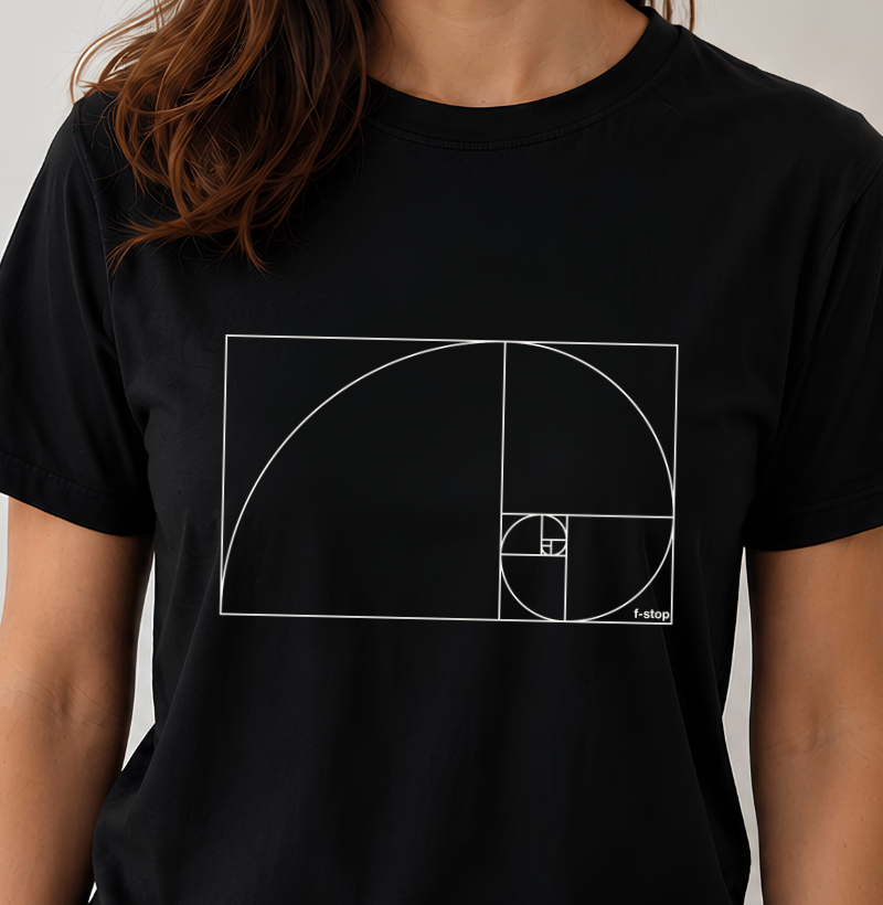 Fibonacci - Imagem 2