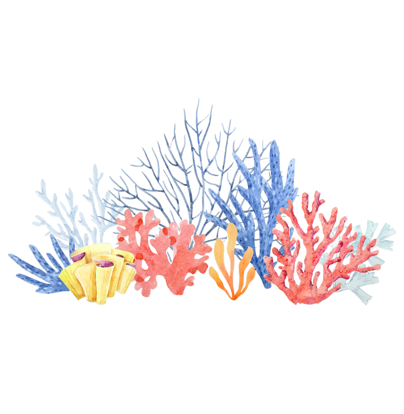 Coral Reef - Imagem 2