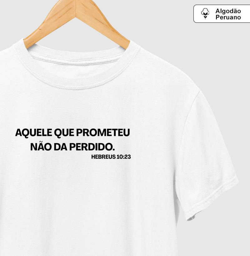Aquele que Prometeu não da Perdido - Imagem 3
