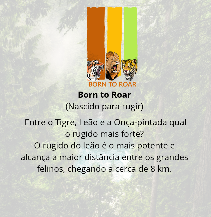 Camiseta Born to Roar (Nascido para Rugir) - Imagem 4