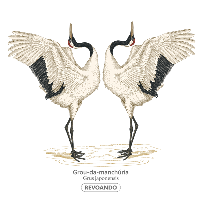 Traços Alados - Grou-da-manchúria (Tsuru) - Moletom - Imagem 2