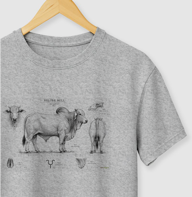 Nelore Bull Anatomia | I Am Agro - Imagem 2