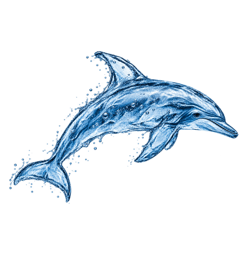 Water Dolphin - Imagem 2