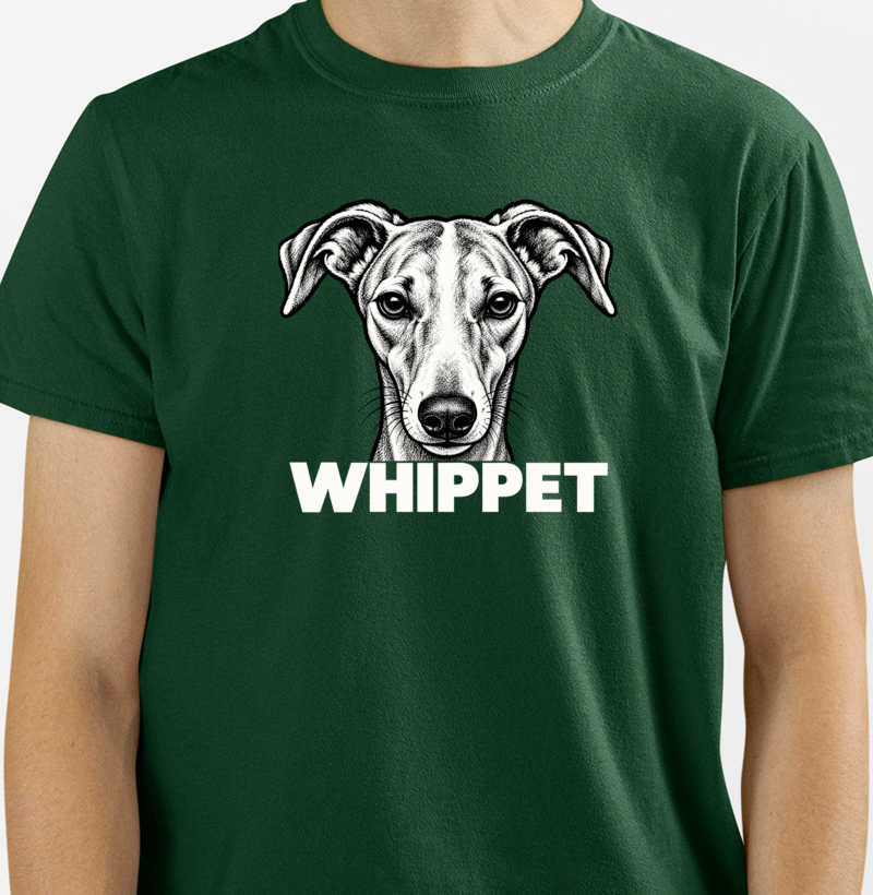 Whippet Bold - Imagem 4