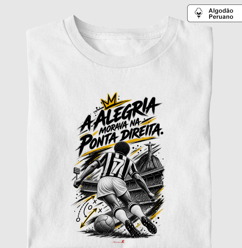 Alvinegros - O 7 que morava na ponta direita. - Imagem 2