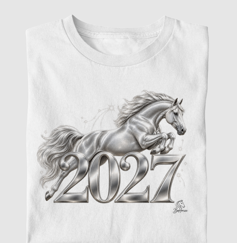 2027 Prata  - Imagem 2
