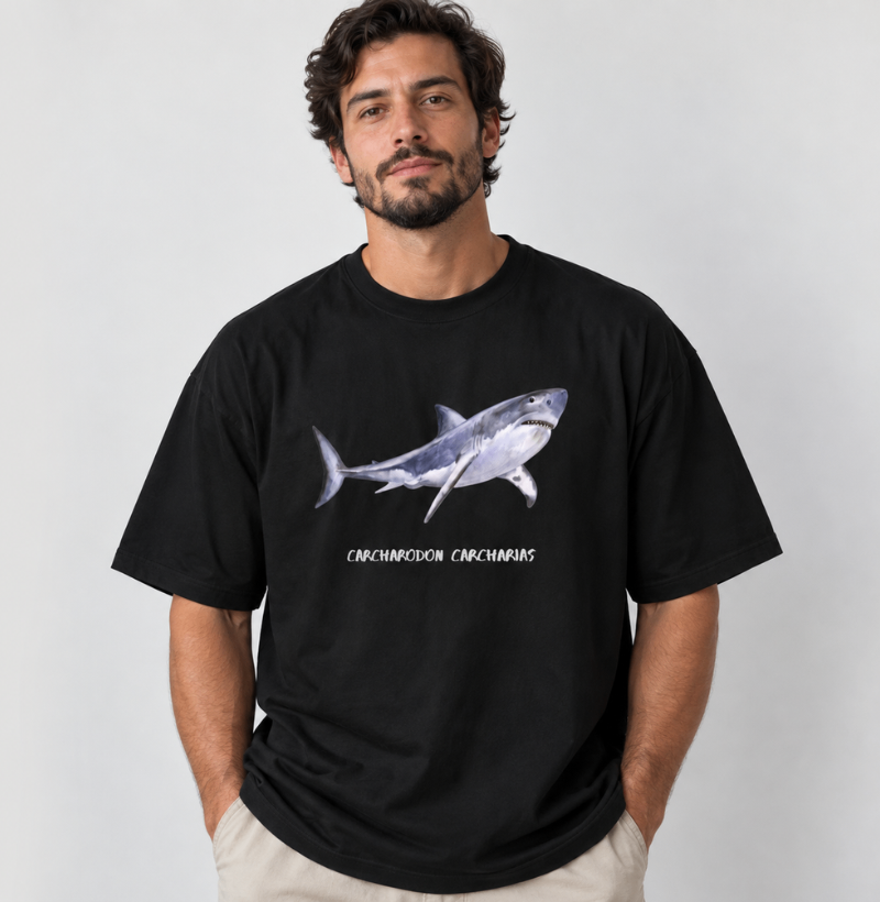 Carcharodon carcharias - Imagem 2