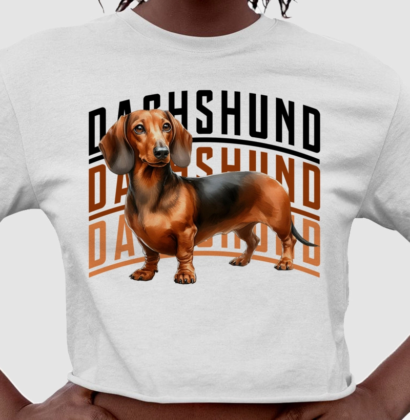 Dachshund! Dachshund! Dachshund! 