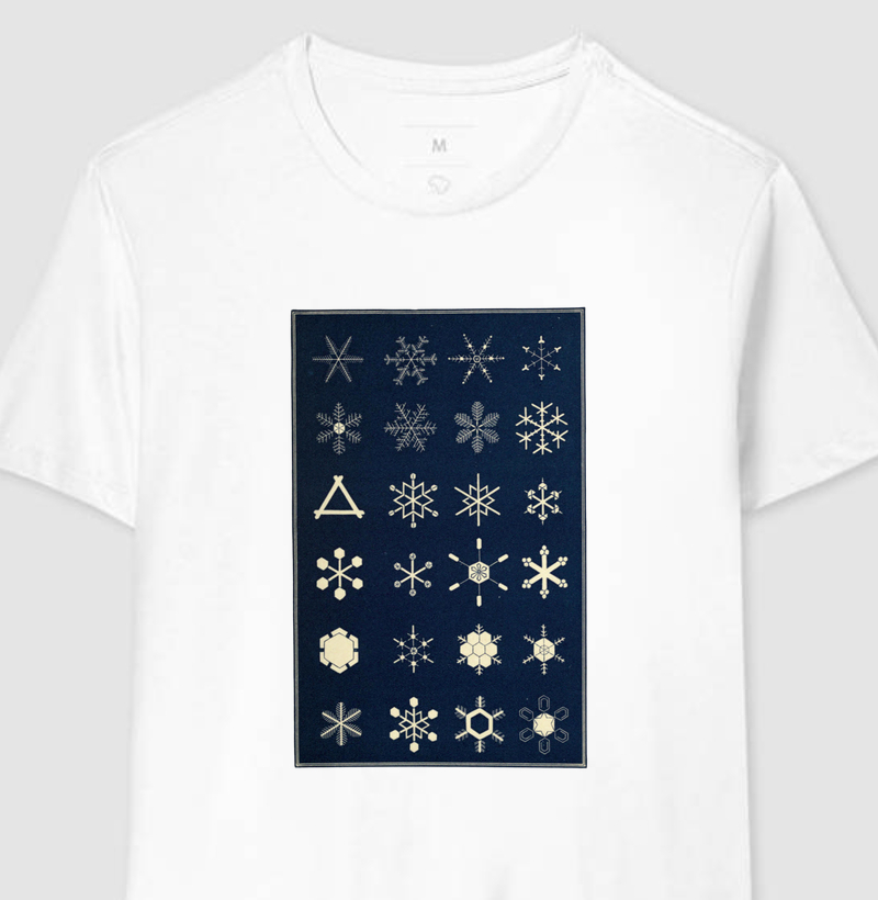 Cristais de Neve (1863)