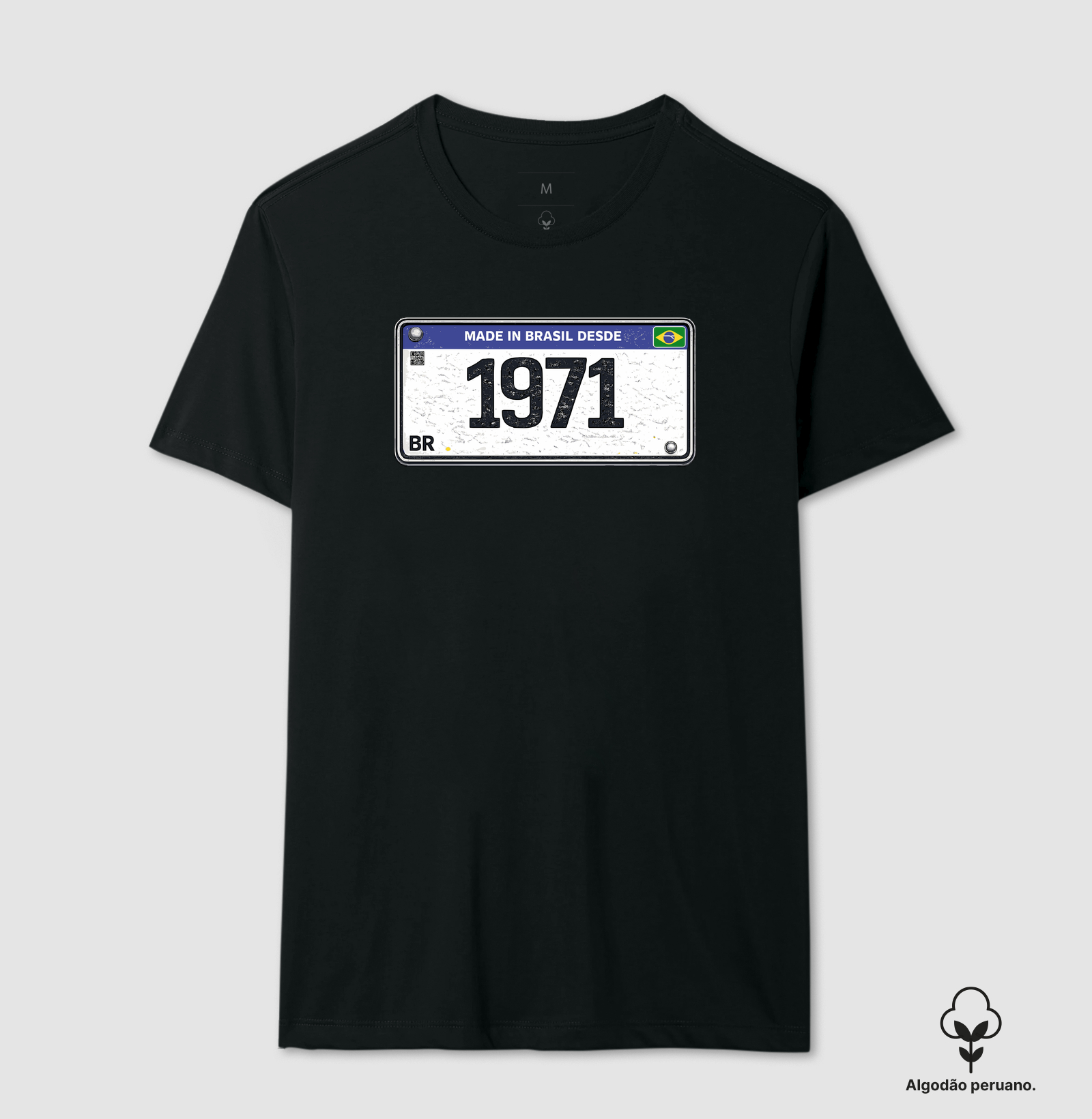 PLACA 1971