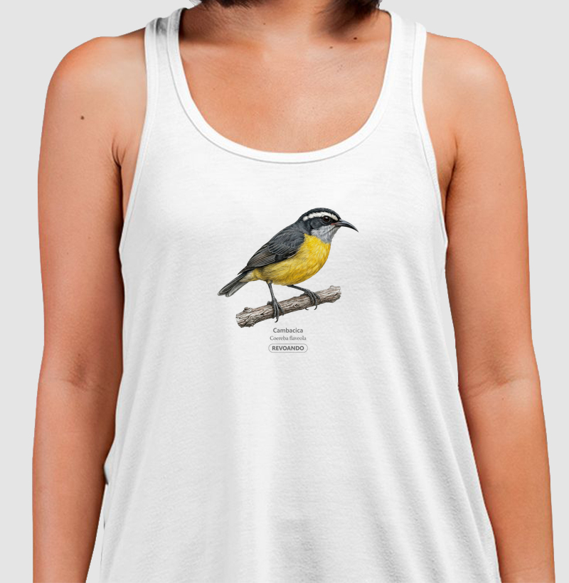 Traços Alados - Cambacica - Regata