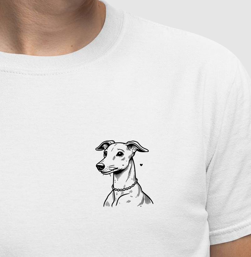 Galguinho Italiano - Linhas