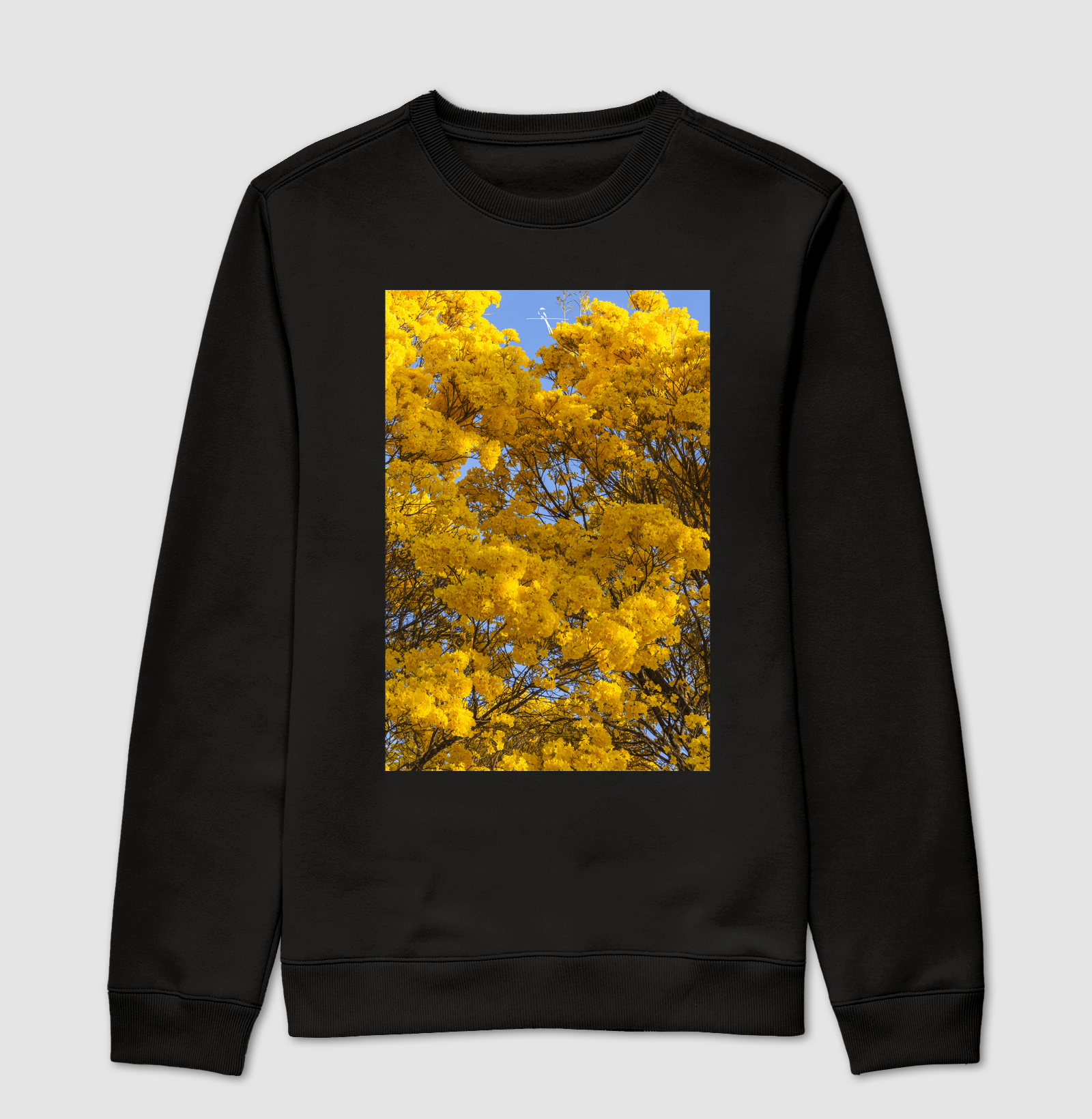 Ipê Amarelo