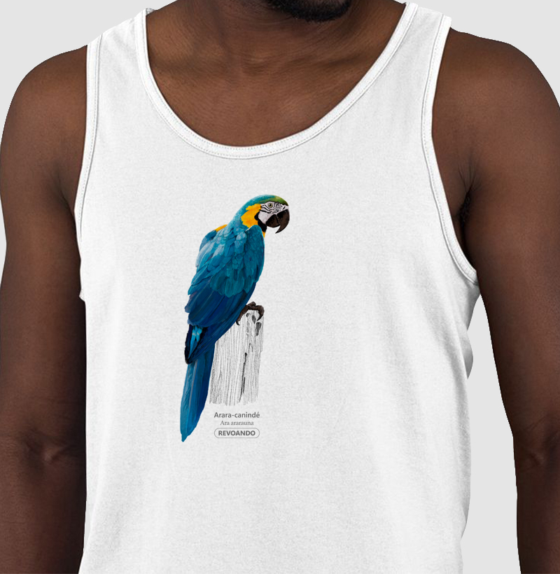 Aves do Brasil - Arara-canindé - Regata