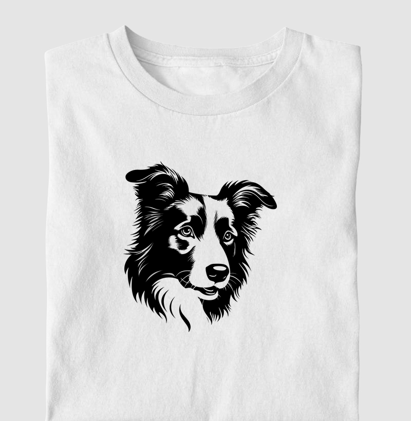 Border Collie 2