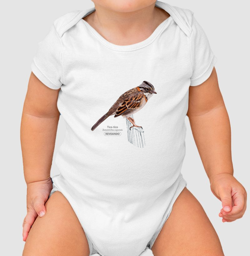 Aves do Brasil - Tico-tico - Body Infantil