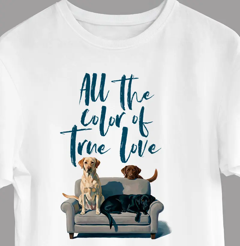 Labrador | All the Color