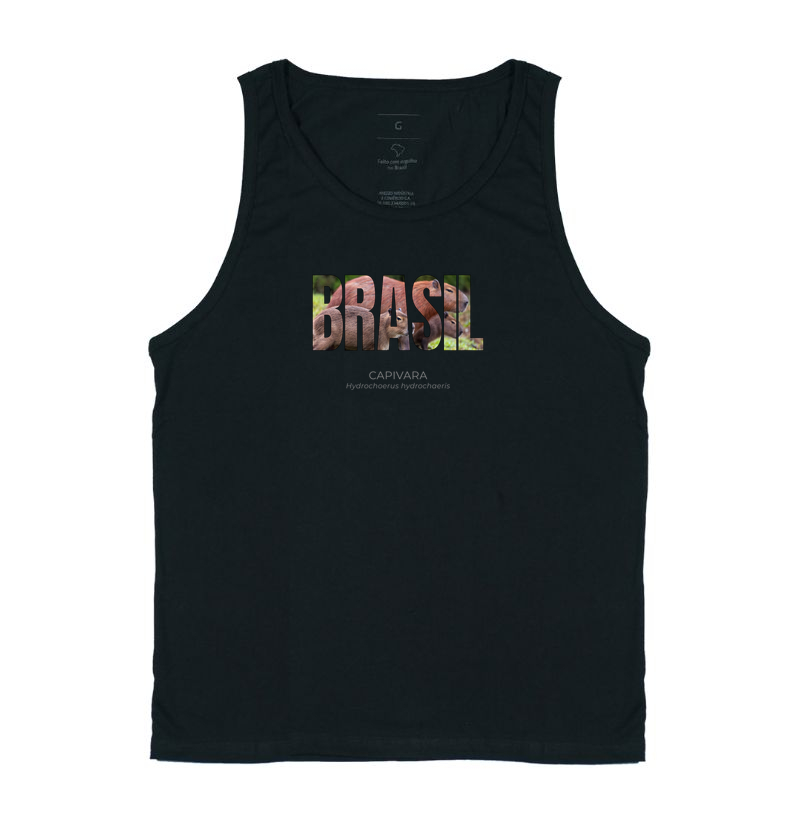 Animais do Brasil – Capivara