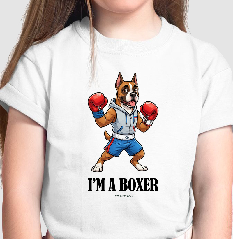 I'm a Boxer (Boxer)