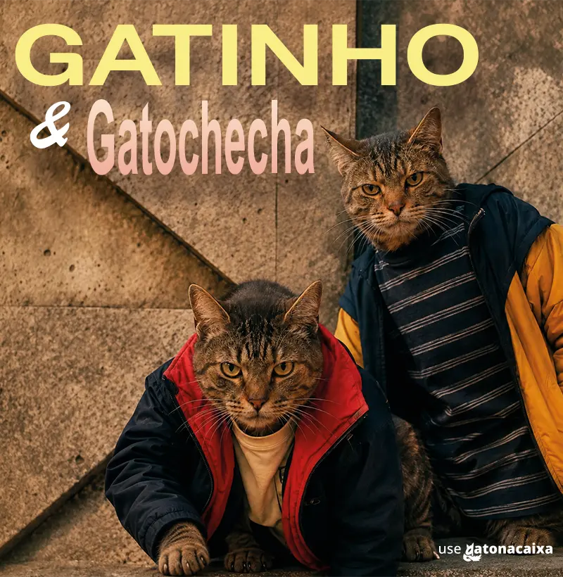 Gatinho e Gatochecha