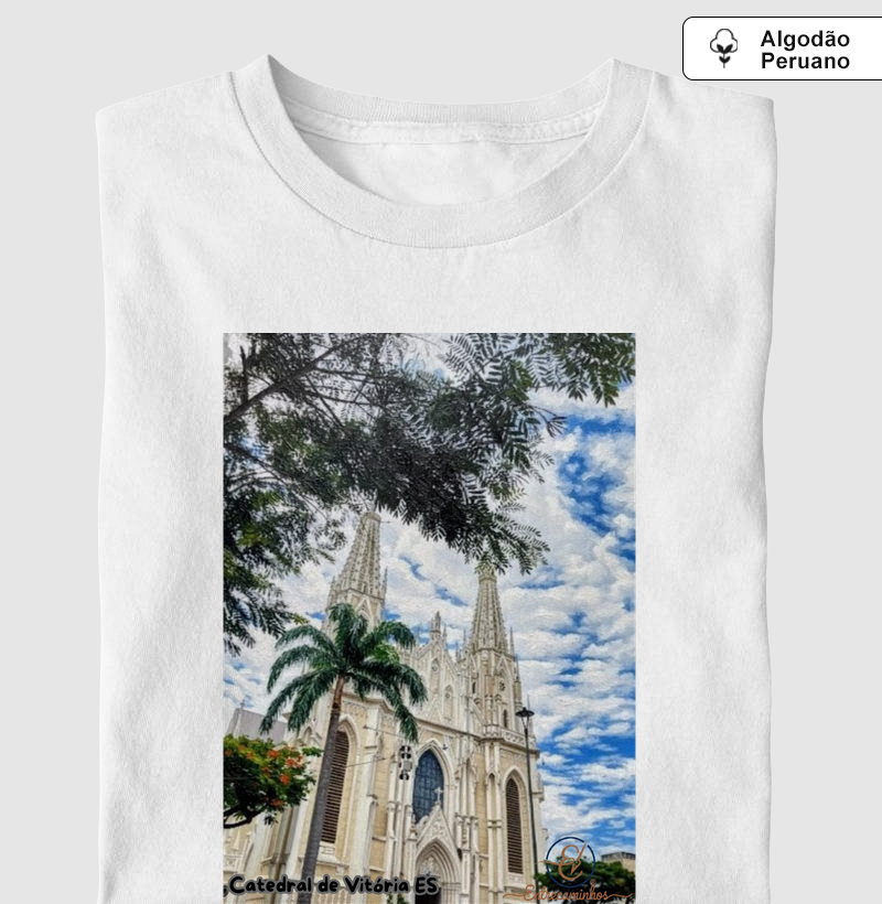 Catedral de Vitória ES (tela)