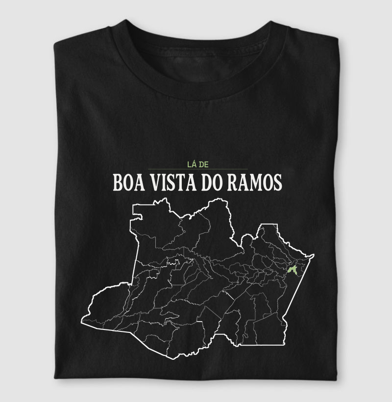 Boa Vista do Ramos | Território AM