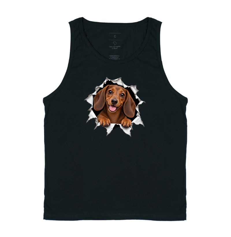 Dachshund Saindo Pelo Rasgo - Regata