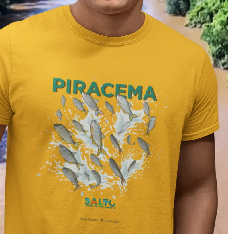 Piracema