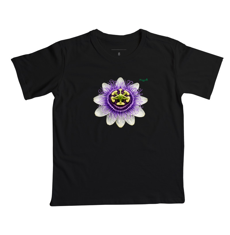 Flor da paixão