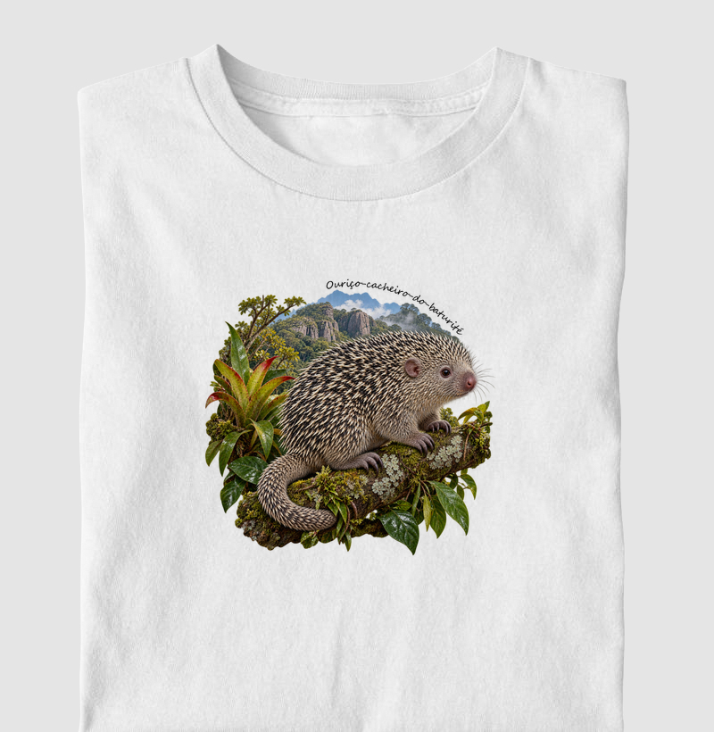 Ouruço-cacheiro-de-baturité - Coleção Fauna Brasileira