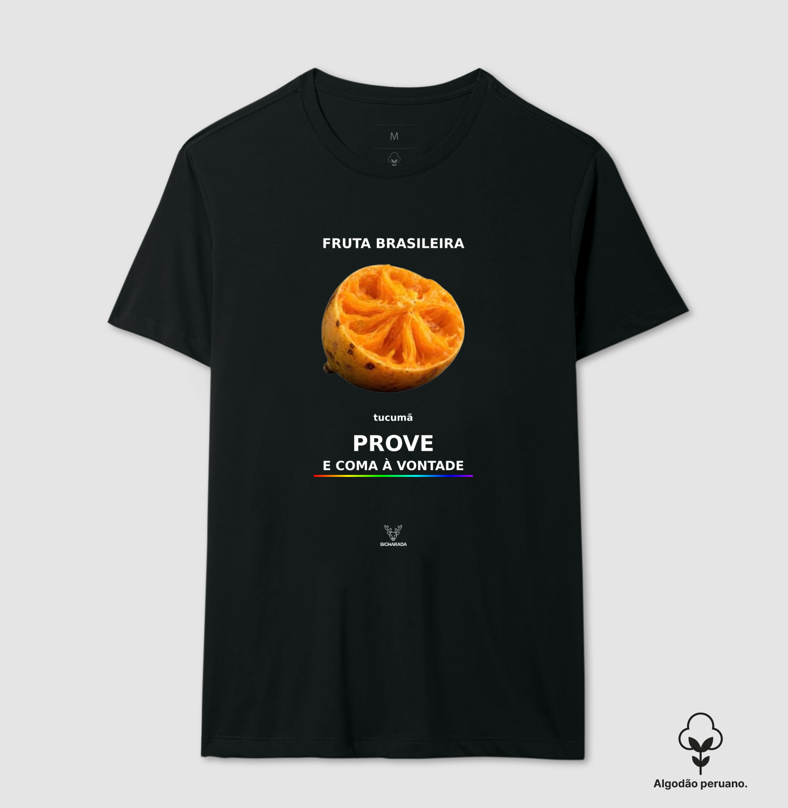 Frutas do Brasil - Tucumã 