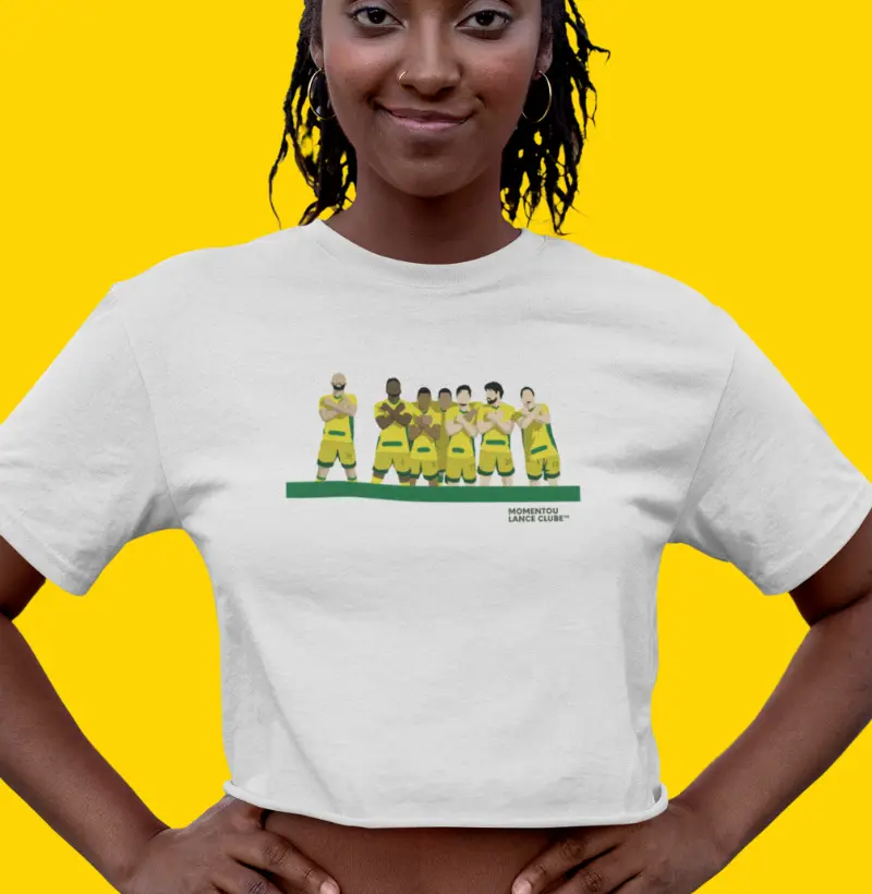 (MIR) - Cropped Rei Leão