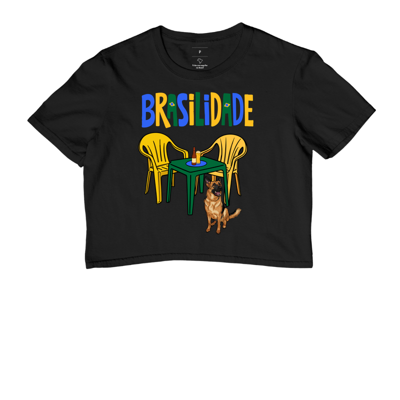 Brasilidade