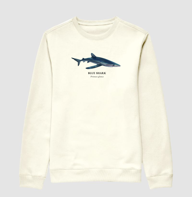 Blue Shark