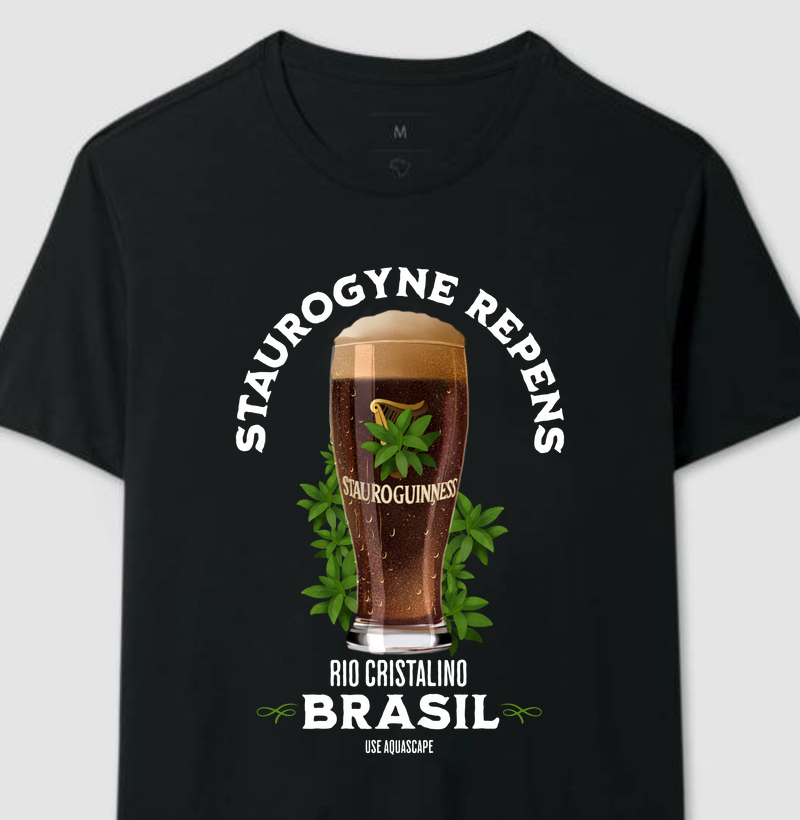 Staurogyne repens - "Stauroguinness" – Rio Cristalino Brasil