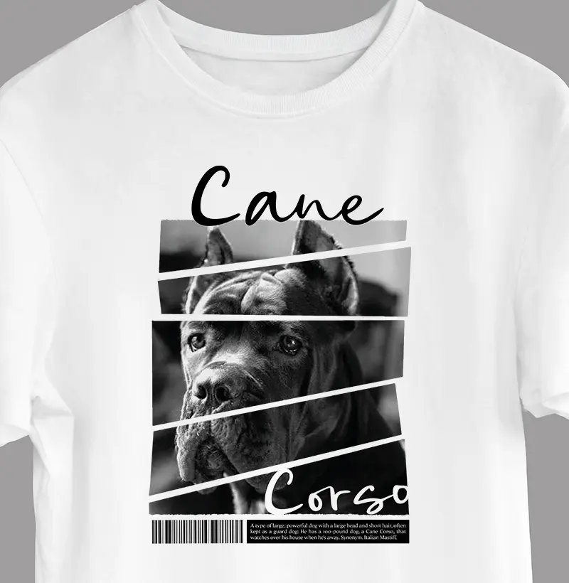 Cane Corso 