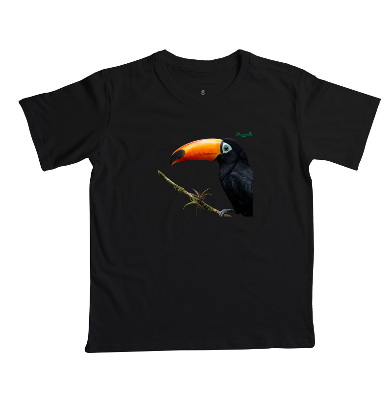 Tucano-Toco