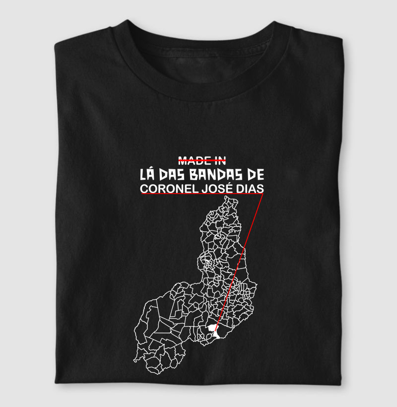Coronel José Dias (PI) | Lá das Bandas